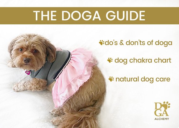 the doga guide