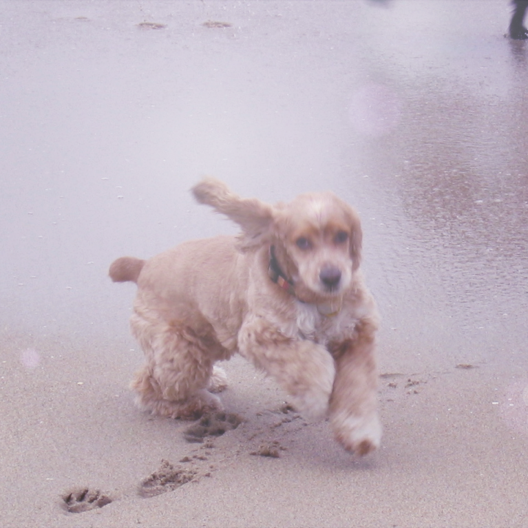 malak on the beach