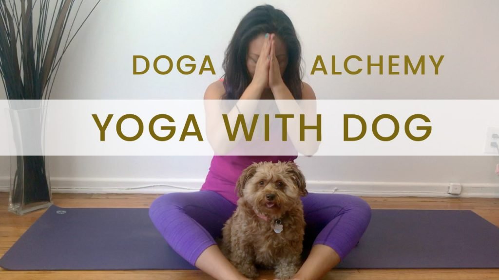 Doga Alchemy Welcome