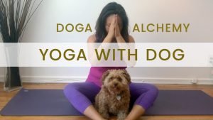 Doga Alchemy Welcome