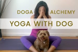 Doga Alchemy Welcome