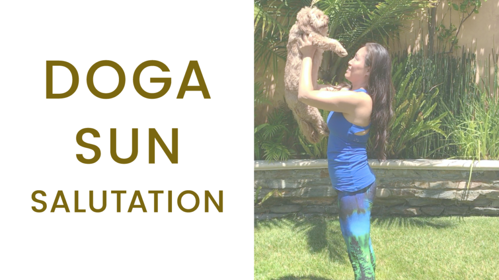 doga sun salutation