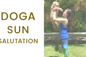 doga sun salutation