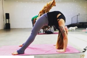 Doga Backbend