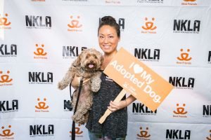 Strut Your Mutt Daisy and Steph Kang